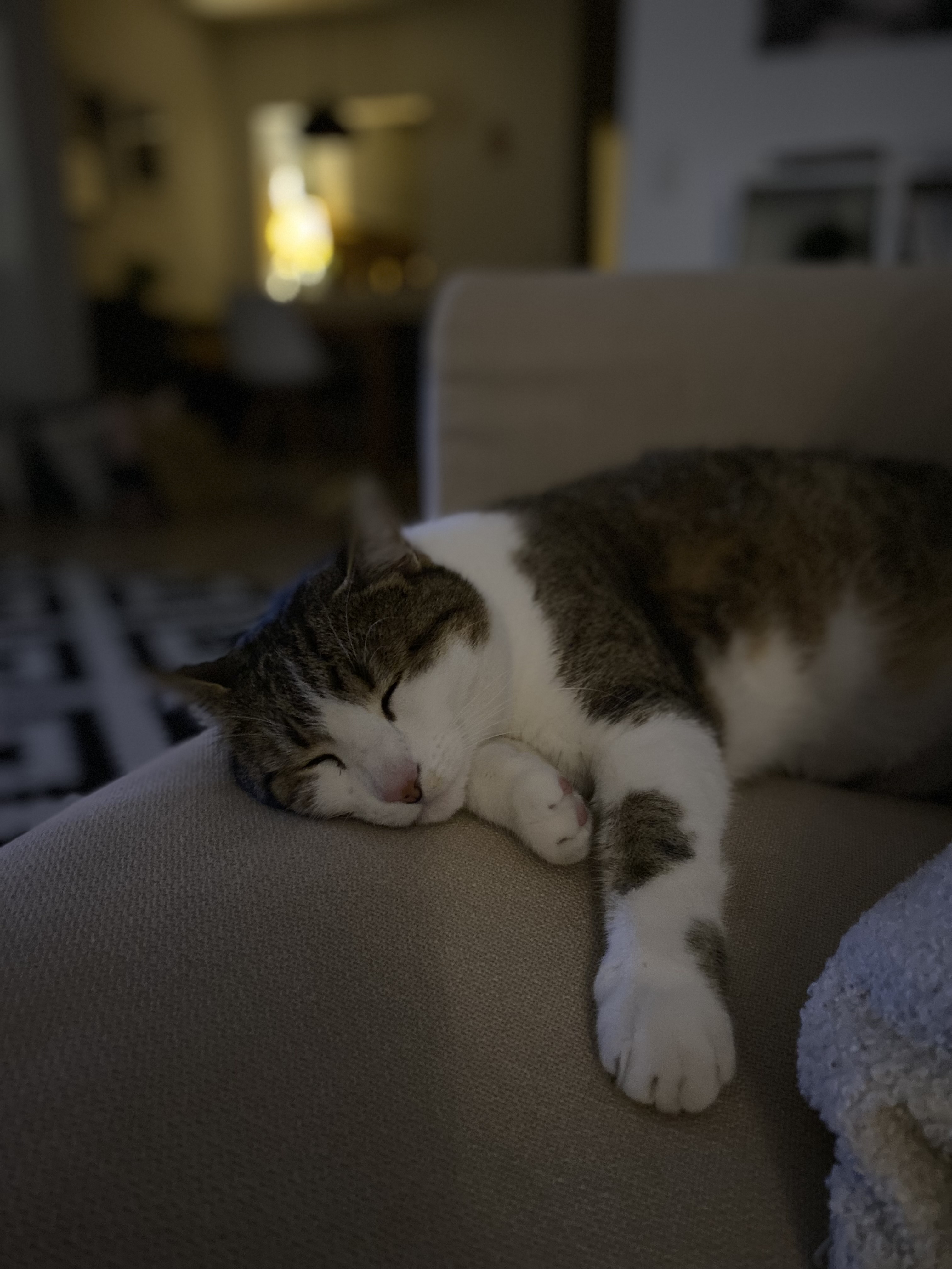 Deine Räume als Verlängerung deines Ichs